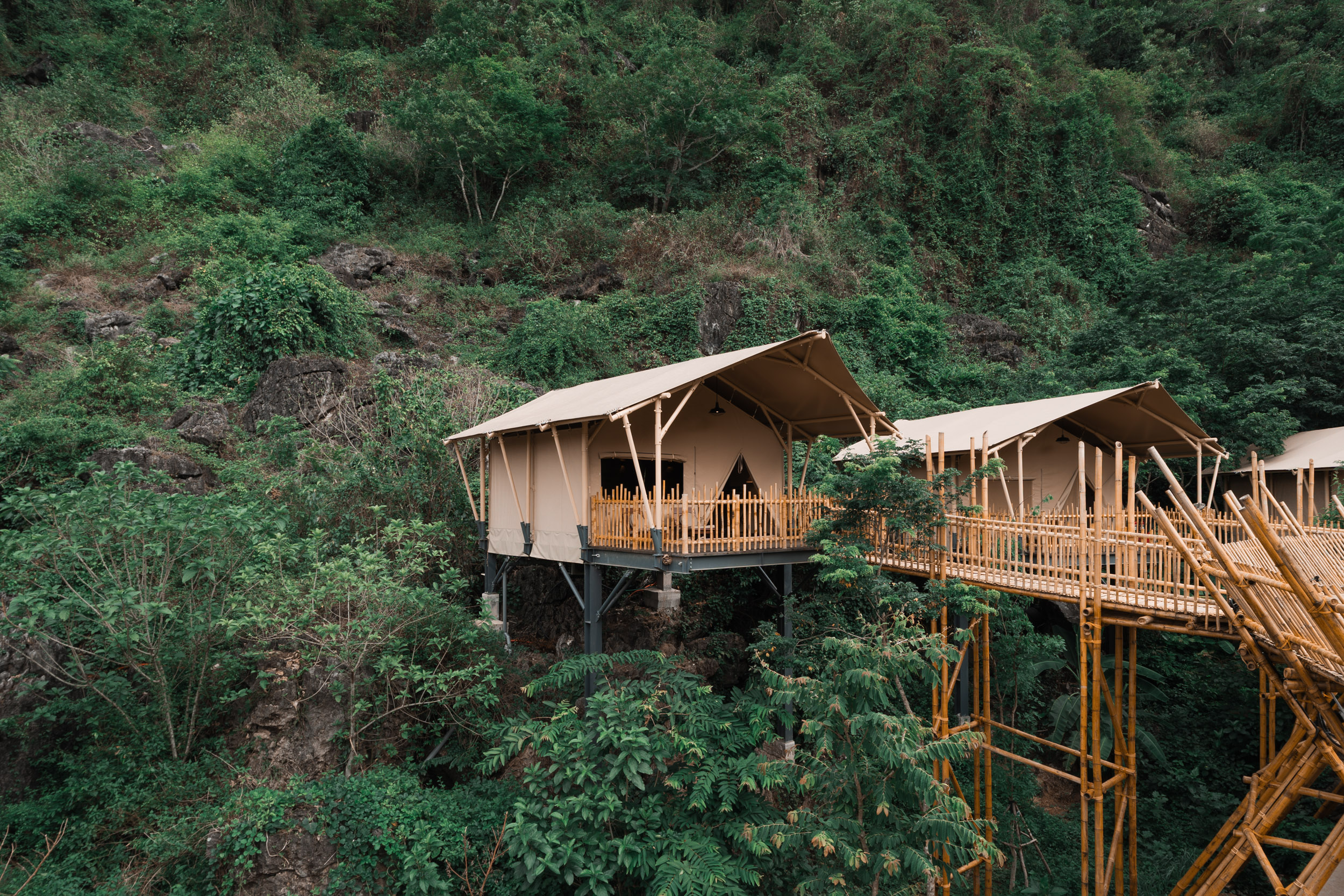 Canopy-10
